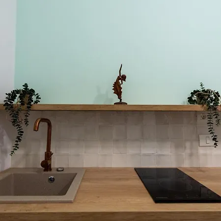 Apollo Brasovul Istoric 브라쇼브