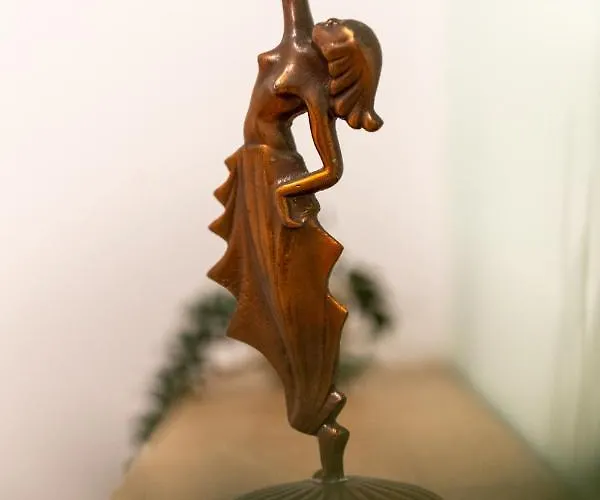 Apartment Apollo Brasovul Istoric